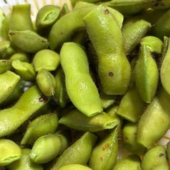 丹波篠山産　黒枝豆　秋の旬　おいしい　甘い　実が大きいの画像