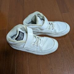 かわいい靴ですの画像