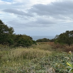 キャンプ場・ドッグランに最適な広大敷地（室蘭）【事業用貸地】約6...