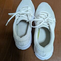 はいて学校への画像
