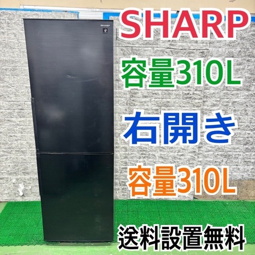 555 シャープ　冷蔵庫　300L〜400L 一人暮らし　同棲向け　右開き
