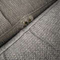 【10/11まで】ニトリ　三人がけソファの画像