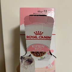 ロイカナ キトンウェット 子猫用 未開封の画像