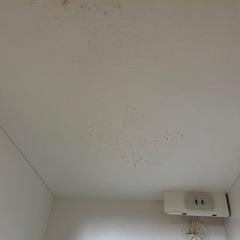 ニトリ　キッチンカウンターの画像