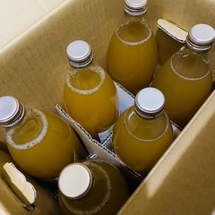青森県産リンゴジュース　12本の画像