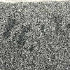 ローソファ ニトリ ツバサ3 （定価14,990円）の画像