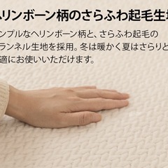 ホットカーペット付きラグの画像