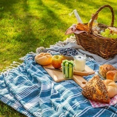 ピクニック&音楽会♪