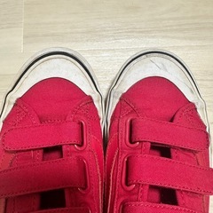 vans バンズ　ベルクロ　24.5cmの画像