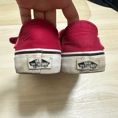 vans バンズ　ベルクロ　24.5cmの画像