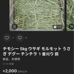 チモシー1番切りの画像