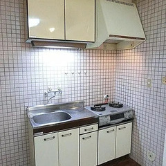 🉐初期費用３万円🙂１ＬＤＫで家賃３９０００円！池袋へ直通５９分の行田駅徒歩７分のマンション！入居翌月分家賃無料！ - 不動産