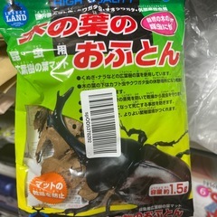 カブトムシ クワガタムシ 昆虫 飼育用品 まとめ売りの画像