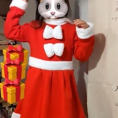 サンタ風 コスチュームの画像
