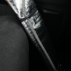 DAISOのサンシェードの画像