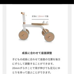 【HOPPL ホップル】ファーストウッドバイク 子供用自転車 ホワイト✖️グレーの画像