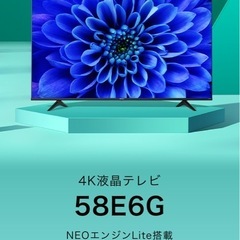 配達可 ハイセンス 58インチ 4K液晶テレビ 58E6G Youtubeの画像