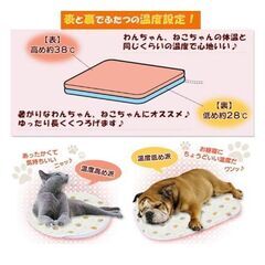 アイリスオーヤマ ペットカーペット 丸型の画像