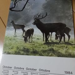 スイス1984年　動物ポストカード式カレンダーの画像