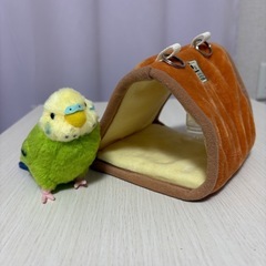 小鳥の吊り下げ三角ベットの画像
