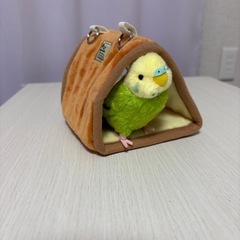 小鳥の吊り下げ三角ベットの画像
