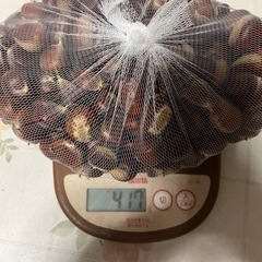 ［終了］栗の画像