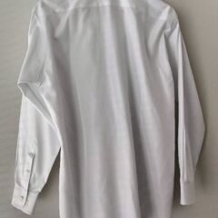 Ozie ワイシャツの画像