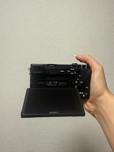 SONY A6600