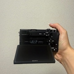 SONY A6600の画像