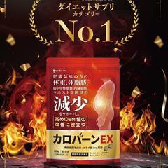 カロバーン EX 肥満気味の方の体重 体脂肪 減少サポート 30日分の画像