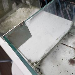 フレームレス水槽の画像