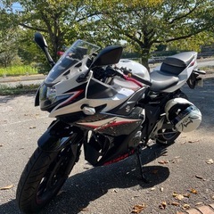 gsx250r （2020年式）の画像