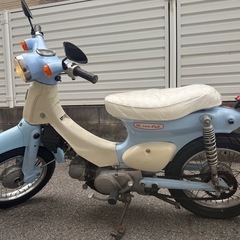 リトルカブの画像