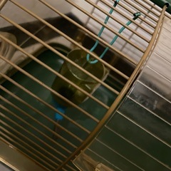 ハムスター用　ゲージ　中古品の画像