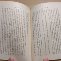 『広場の孤独』堀田善衞　新潮文庫の画像