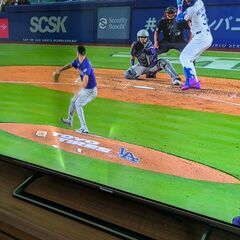 パナソニック VIERA TH−49DX600 液晶に不具合ありの画像
