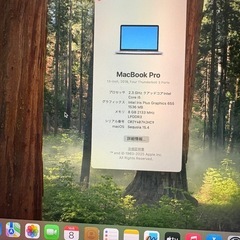 MacBook Pro2018 8GB 13インチ 512GB の画像