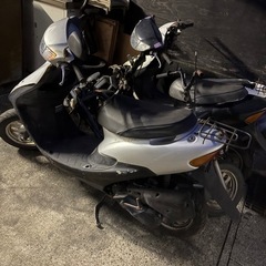 ライブdio
の画像