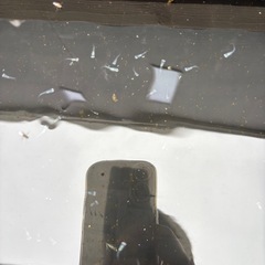 めだか　幹之(みゆき)スーパー光から産まれた稚魚、幼魚5匹セットの画像