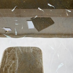 めだか　幹之(みゆき)スーパー光から産まれた稚魚、幼魚5匹セットの画像