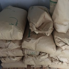 令和7年産アキサカリ（10kg6600円）の画像