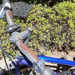 自転車（24インチ）の画像