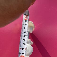 詳細不明 突っ張り棚の画像