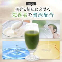 ワコナルビューティー サプリメント(3g×2本)の画像