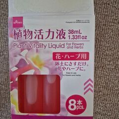 黄バラ　ゴールドバニーの画像