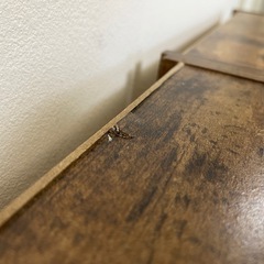 カラーボックス　高さ117センチ　2つセットの画像