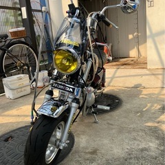 モンキーの画像
