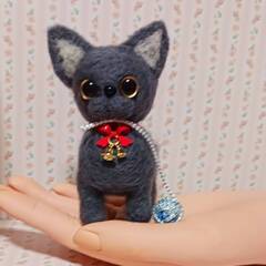 羊毛フェルト 毛糸で遊ぶグレーの猫ちゃんの画像