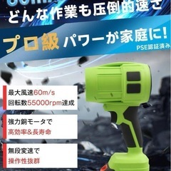 新品未使用未開封❣️ 6500mAh大容量バッテリー2個搭載 ブロワー 洗車 強力軽量 コードレスの画像