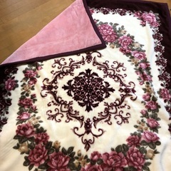 【お渡し日待ち】【西川】シングル毛布 2枚組の画像